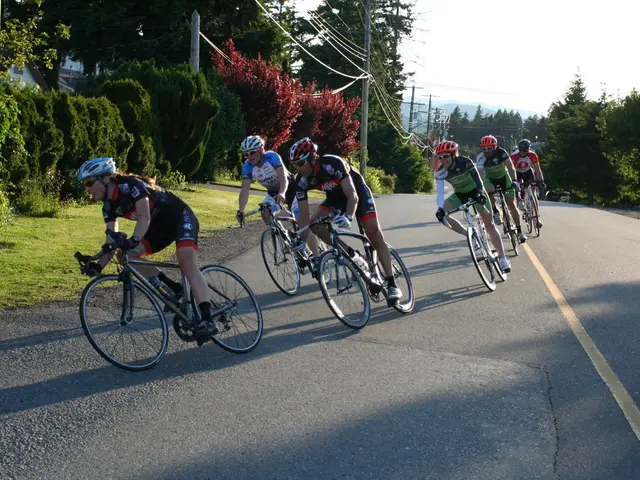 Serious Cyclist Injury Resulting from Road Collision (Pol-HAM)