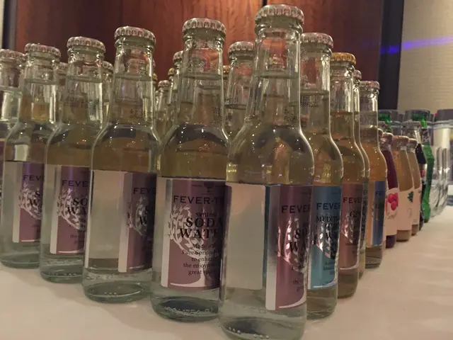 Enhancing Concentration and Soothing Hangovers: The Benefits of Integrating Electrolytes into Your...