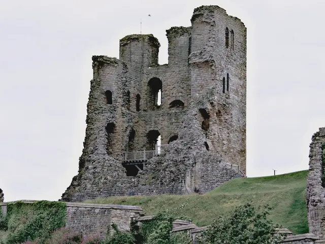 Kaptur Proposes Widening Gold Star Survivor Benefits; Neguse Advocates for Veteran Firefighter...