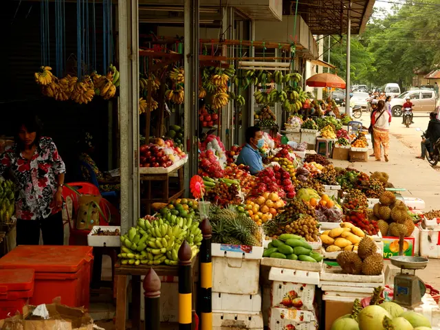 Lime industry innovation and investment exhibition showcased at Al-Ahsa