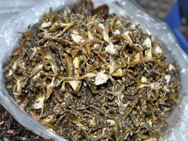 Assessing the Edibility of Your Fish: Recognizing Decay and Storage Recommendations