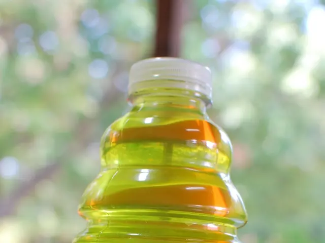 Research reveals that synthetic sugar substitutes, including sweeteners, could potentially...