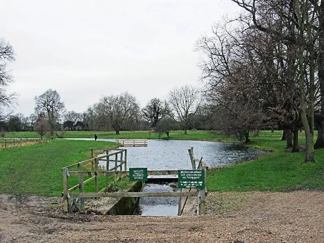 Stranded hikers in New York wilderness overcome by hallucinogenic effects of psilocybin mushrooms...