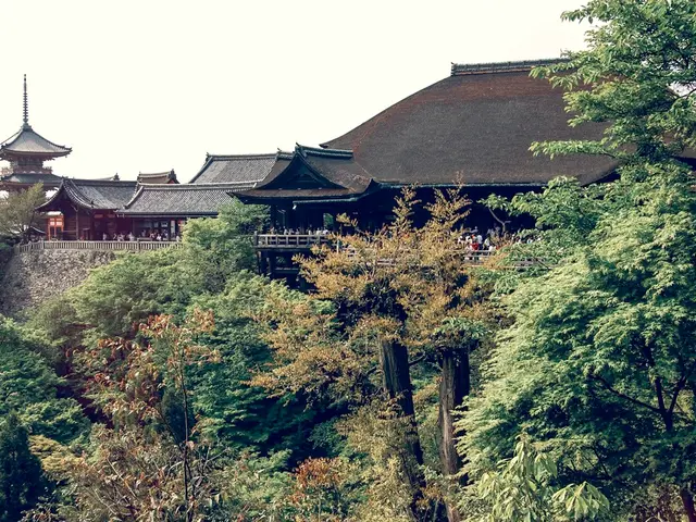 Life of versatile figure Harry Sparks, renowned architect, luthier to celebrities, trailblazing ADA...