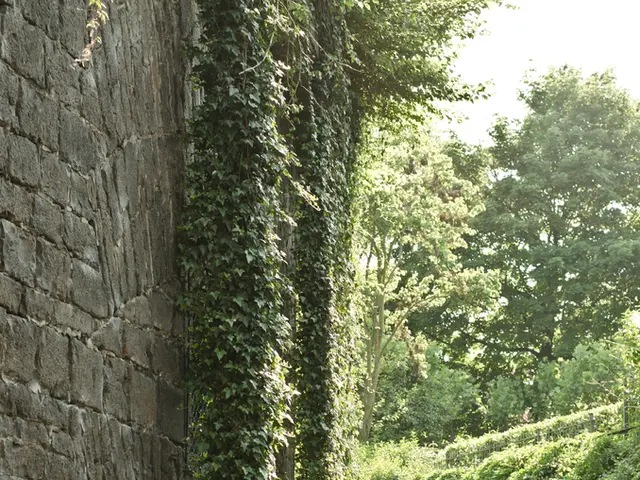 Strategy of Zero Trust - definition and explanation