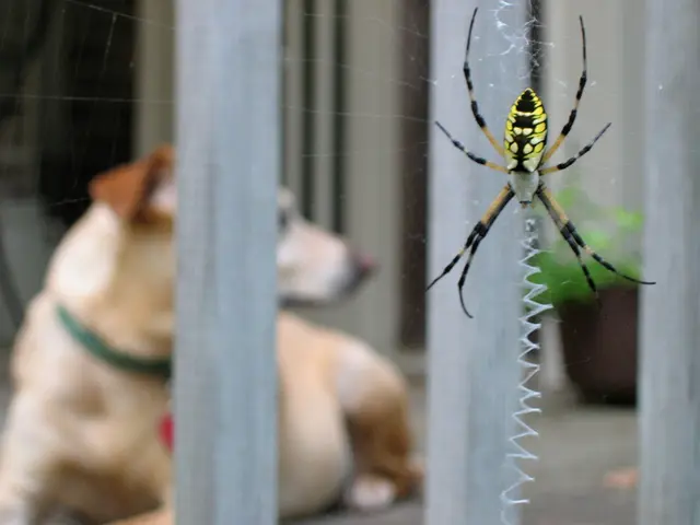 Public health officials in Berlin issue a precautionary advisory against swimming in the Great...