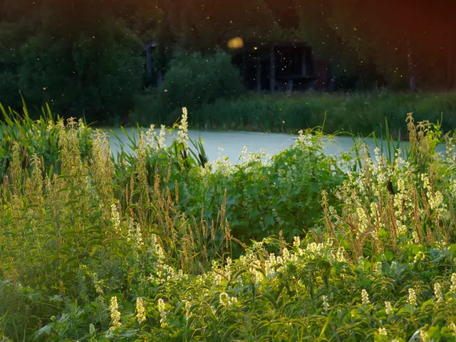 The title suggests a proposal or call for assigning a unique identifier to natural elements or...