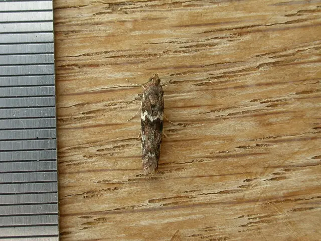 Steel shares in the U.S. take a nose dive due to ambiguity surrounding the potential deal with...