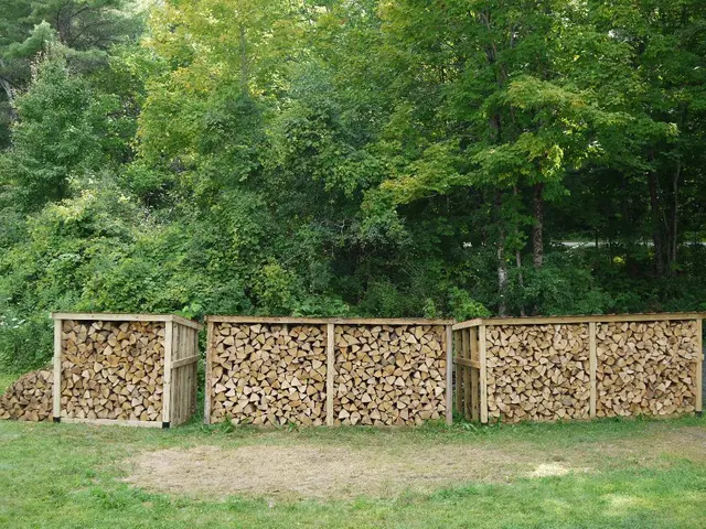 Transforming wood to surpass steel and concrete in strength