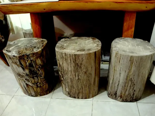 Federal Agency Removes Three Electronic Logging Devices from the Approved Equipment Registry