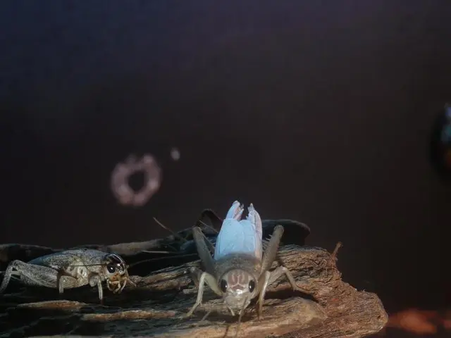 Activities in Aquatic Environments and Terrestrial Agriculture