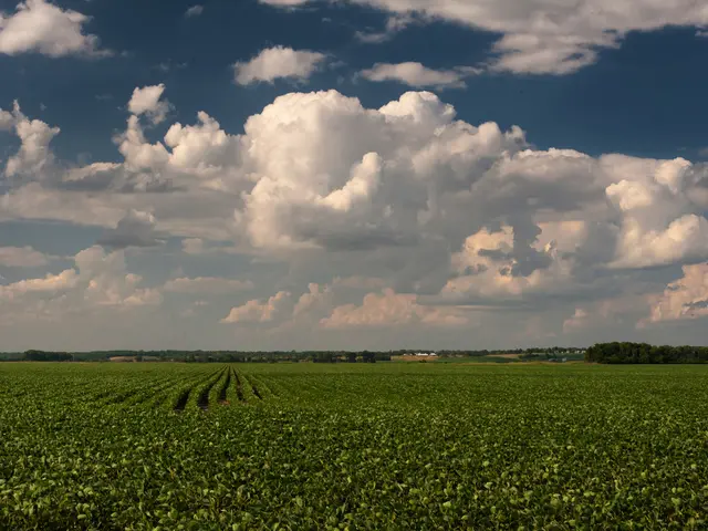 Risks Posed by Disregarding the Links Between Science and Nature