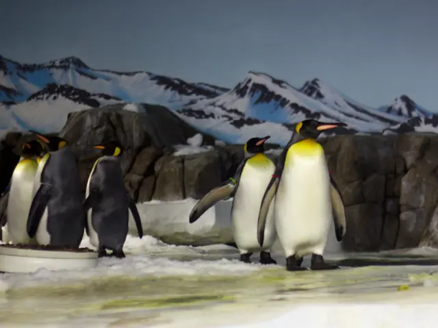 The genuine findings about the escalation of sea levels: a scientific investigation.