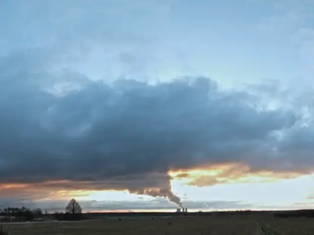 Uncontrolled wildfires emit hazardous pollutants, which spread over continents, according to the...