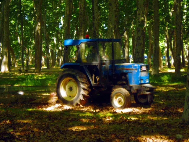 Reduced use of Husqvarna 415X lawnmower for expansive lawns markedly decreased