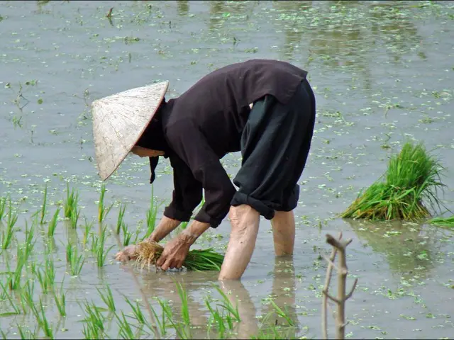 Seeking Skilled Authors Specializing in Garden Topics