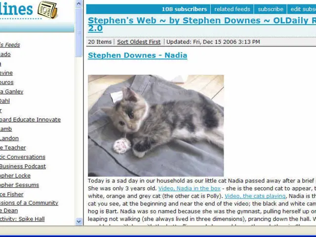 Anonymously View Instagram Stories Using Simple Methods