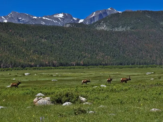 Engaging and Educational Matter Cycle Experiments Suitable for Children