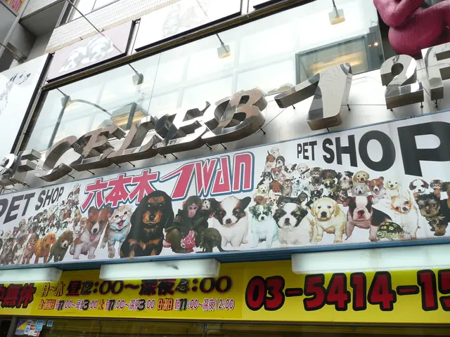 Invitation for Submissions: Personal Narratives Through Images