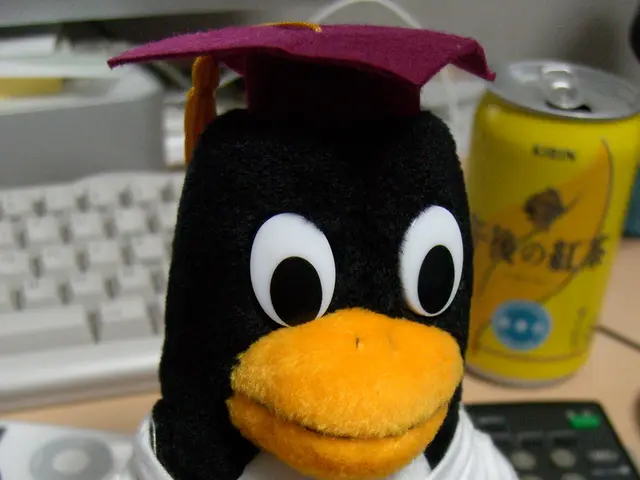 Exploration of Ice Melting Mechanisms Through Sensory Interactive Play in the Arctic Region