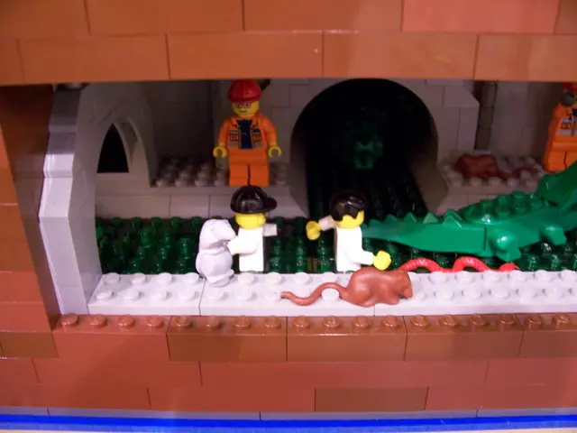 The Impact of Premium Pet Toys on Crafting Pet's Futures