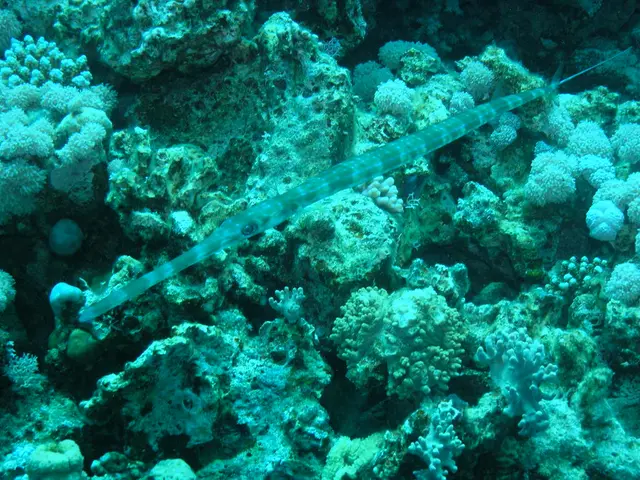 Adaptive Animal Behaviors in Harsh and Severe Habitats