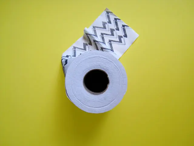 Fibrous Plaques: A Detailed Overview