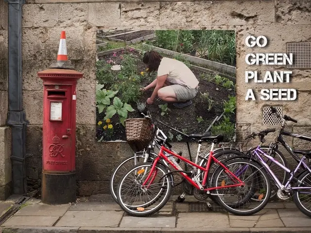Stolen: Pedelecs and Beer in Poland