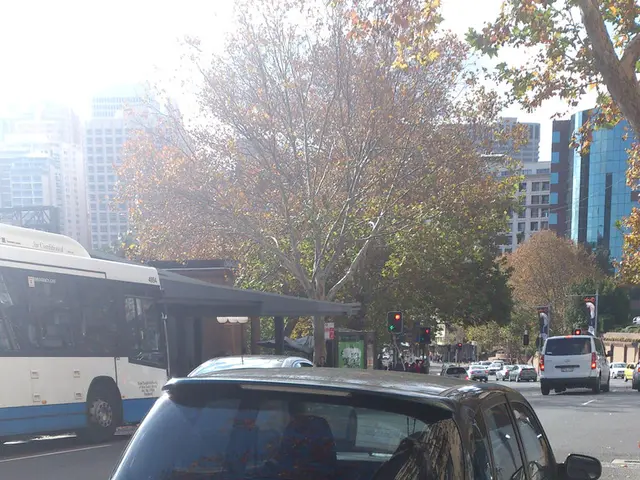 Regulating Traffic Efficiently through Intelligent Traffic Lights and Artificial Intelligence