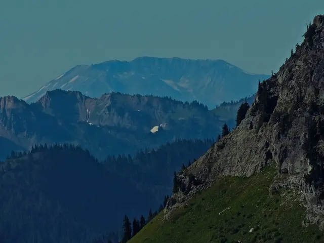 Scientists Successfully Decode High-Definition Genome Sequence of the Indigenous Yak Breed