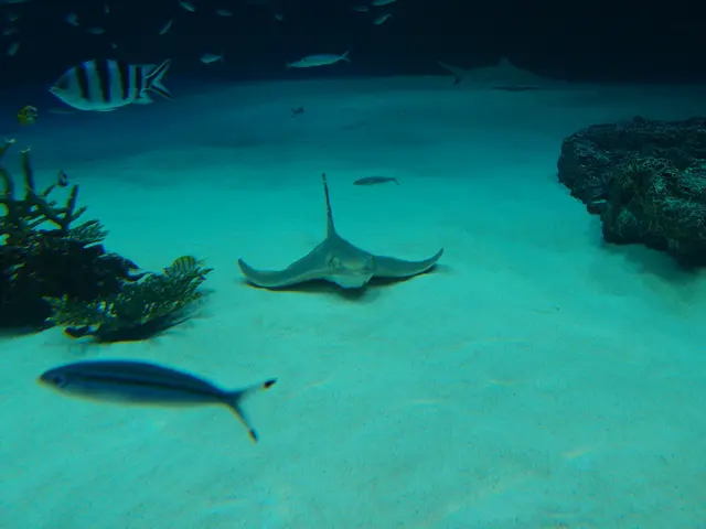 Fresh Water Update for 2023