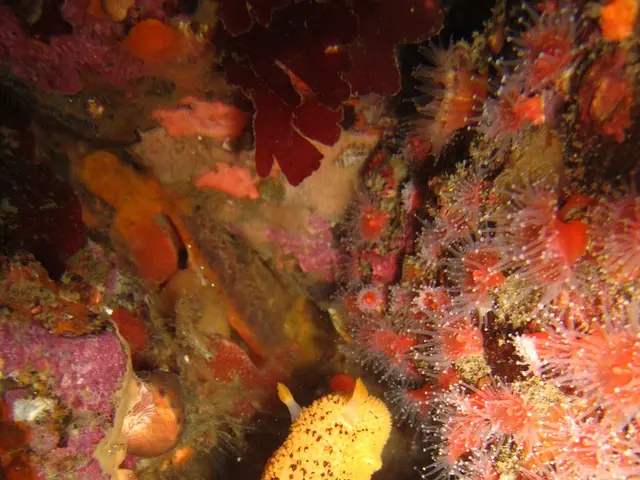 Stormy Demise - Query concerning Baby Flying Saurians from Bavaria: Fatal Outcome?