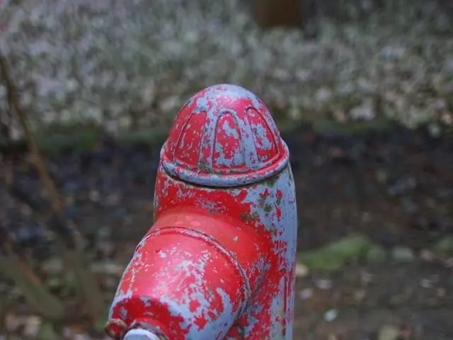 Hydrogen sulfide decay blamed for Saitama sinkhole incident