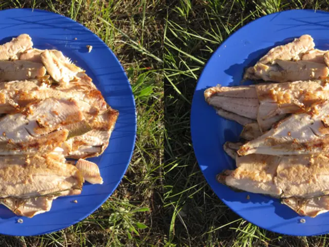 Expensive Bovine Colostrum: Reconsidering the Expense of This Dietary Supplement