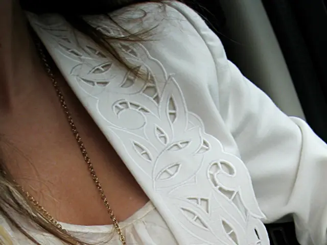 Pursuit and Assault of Women: Hamburg Police Seek Identity of Suspect Man