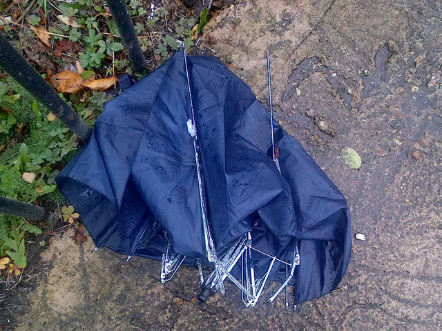 Accident-Free Aviation in Bad Hersfeld and Rotenburg – Ohio Politics Report