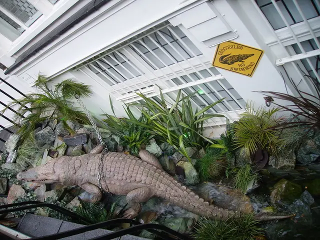 APC North-Central Chairmen Praise Tinubu's Economic Recovery Efforts