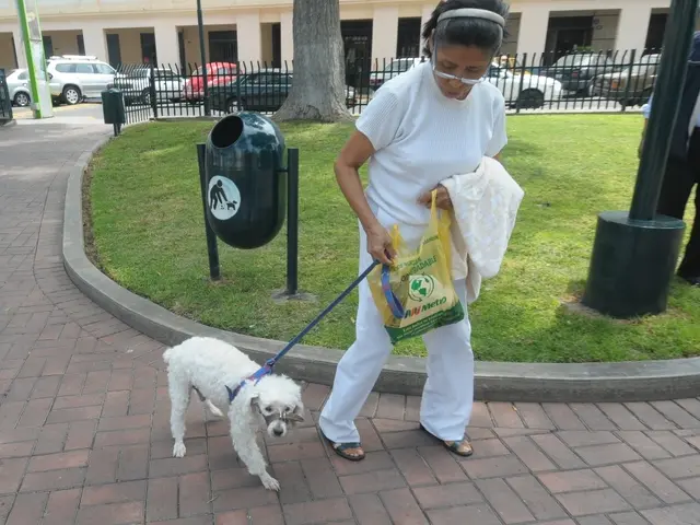 Jimmy's Quick Sojourn on Earth Featuring Aditi Mayer