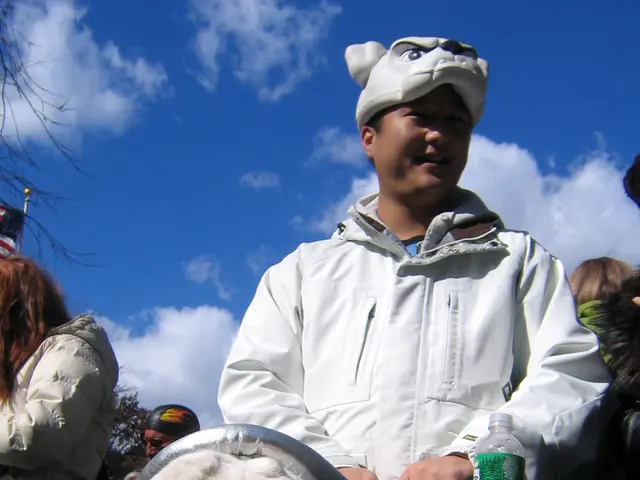 Feeding fresh meals to your canine companion while on the move, based on guidance from a...