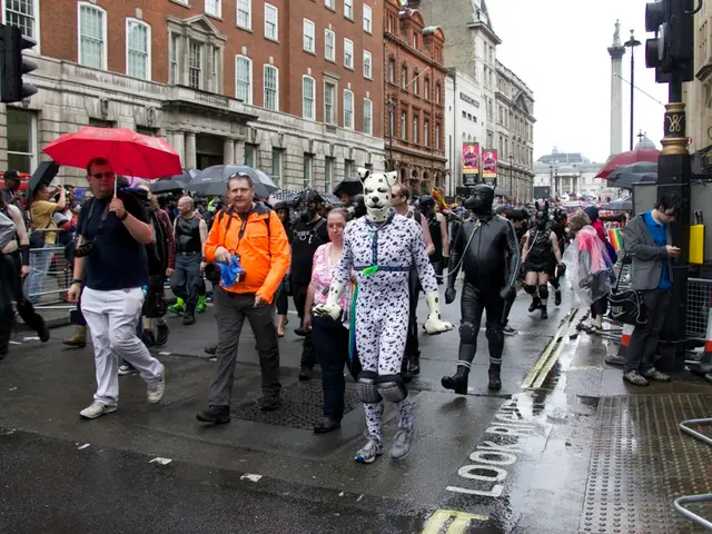 Scant Summer Rainfall Reported