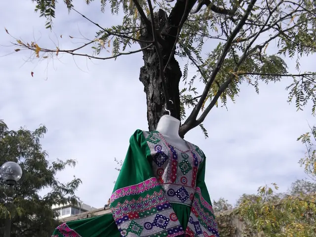 The Vegan Clothing Industry Forecasted to Achieve a Value of USD 1,281.2 Billion by 2034