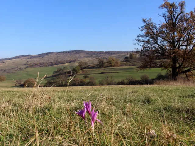 Appreciation for Earth Day Celebrations