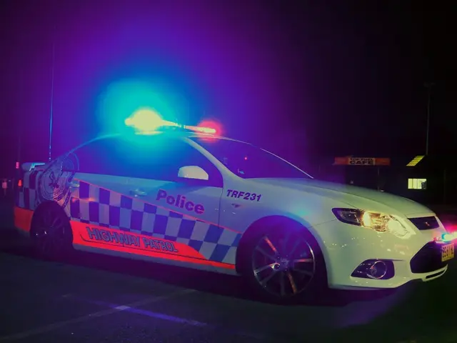 Criminal organizations and safety concerns in Latin America