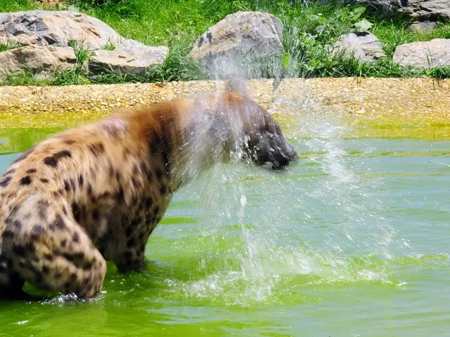 Essential Role of City Greenery in Promoting Wildlife Wellness