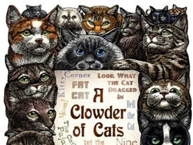 Discussions Suggest Investment in XRP and Dogecoin Exchange-Traded Funds Could Be Imminent
