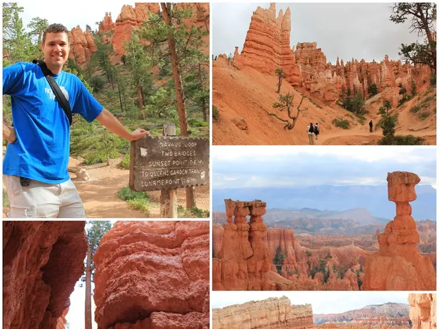 Memorial salutes victims of Jewish genocide in Romania at museum