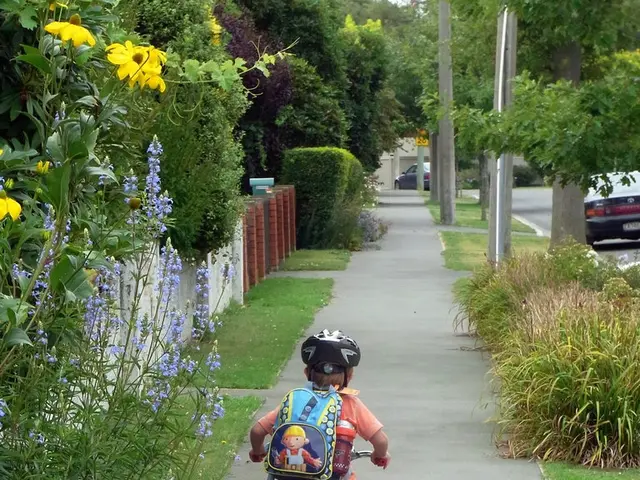 Proposal for a safety directive aimed at safeguarding youth in case of accidents requested from the...