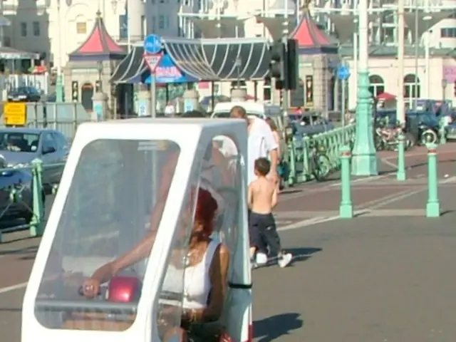 Essential details to consider when journeying with a canine companion.