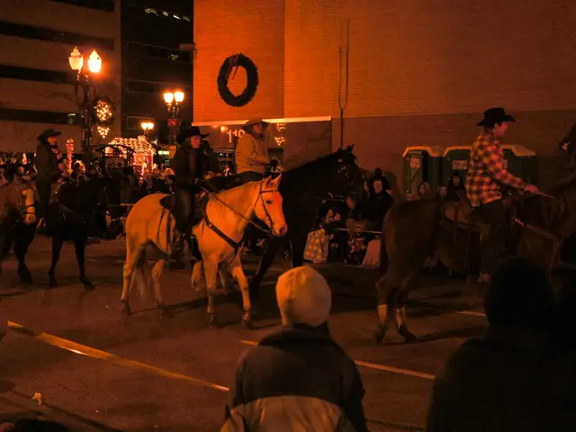 Large number of horses showcased at Moritzburg's Stallion Parade, totaling over 130
