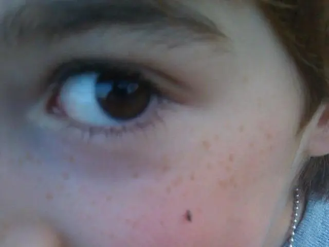 Questionnaire: Determining if You're an Introvert or Extrovert